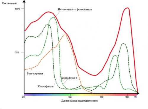 Земля - не самое лучшее место для жизни. 04 Земля - не самое лучшее место для жизни. 04