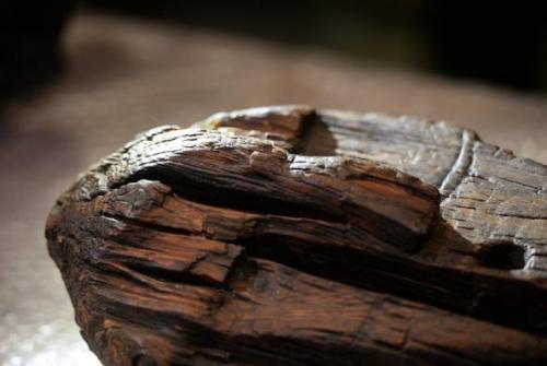 Восставший из торфа. 02