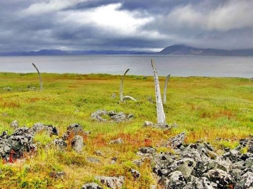 Китовая аллея на Чукотке. 02