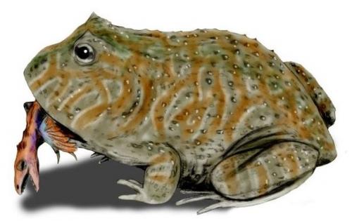 Лягушка, которая ела динозавров. 03