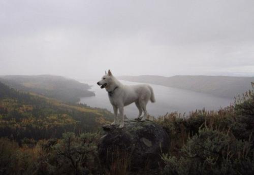 Джон сторц - иллюстратор и путешественник из США.