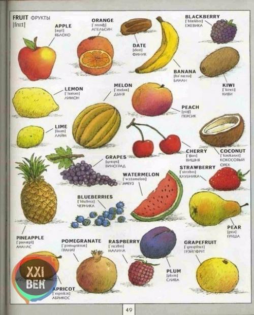 Полезная визуальная лексика английского языка. 05