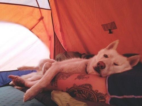 Джон сторц - иллюстратор и путешественник из США. 03