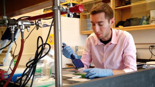 Как долго будет действовать назальная вакцина от COVID-19. Интраназальная вакцина от COVID-19 эффективна после первого применения